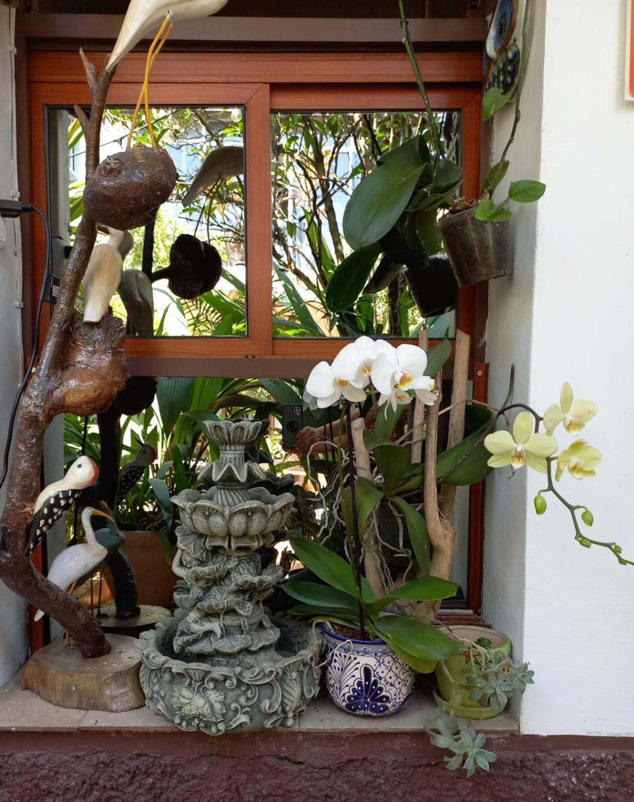 Posada Galeria Alberto Sedas Huatusco Exterior foto